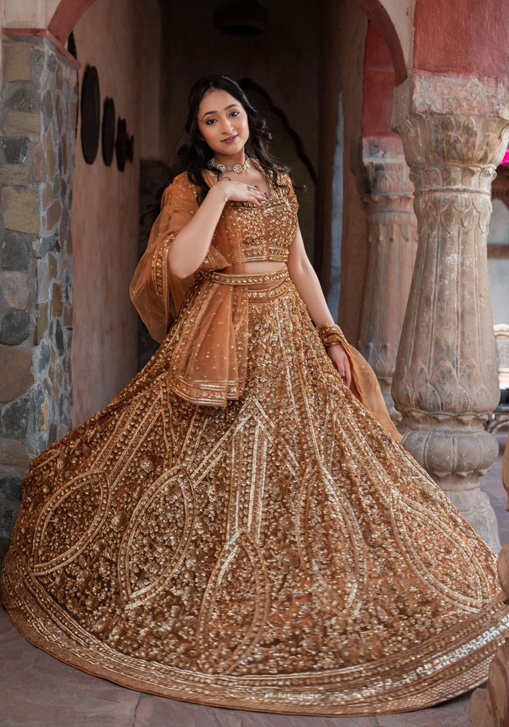 Exquisite Brown Lehenga with embellishments in net, Customizable, Made to Order