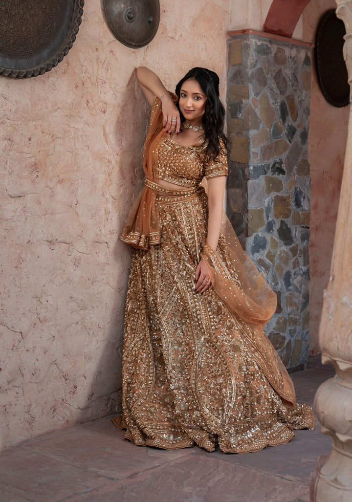 Exquisite Brown Lehenga with embellishments in net, Customizable, Made to Order