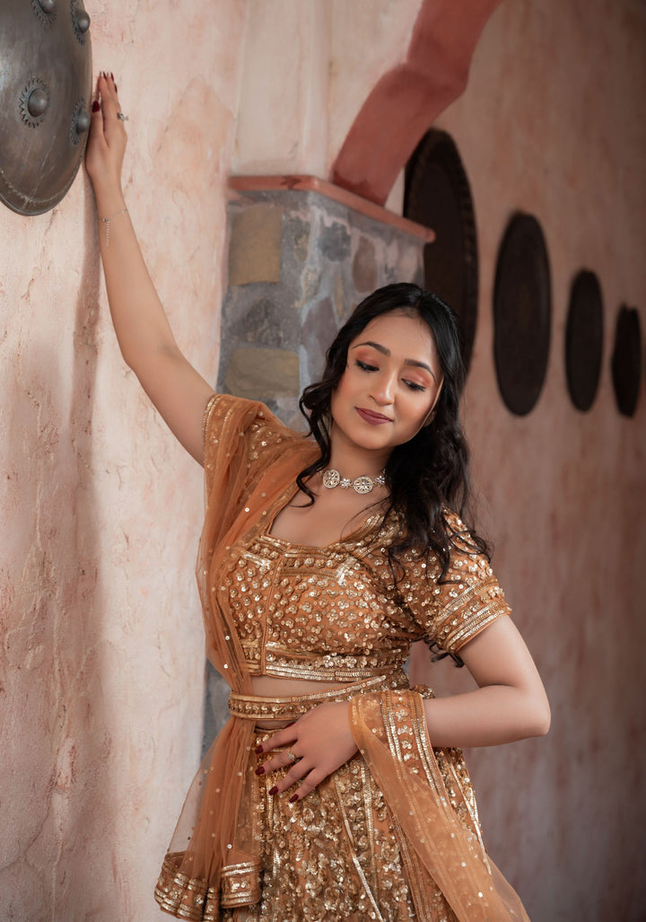 Exquisite Brown Lehenga with embellishments in net, Customizable, Made to Order