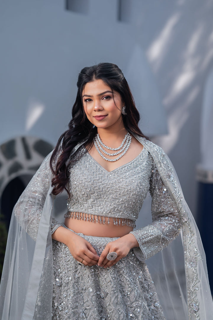 Exclusive Silver Splendor Lehenga with hand-embroidery in Net, Customizable, Made to Order