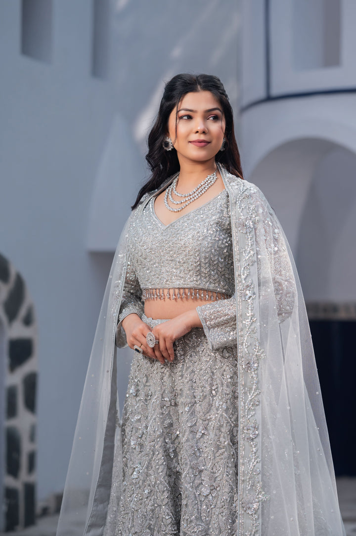 Exclusive Silver Splendor Lehenga with hand-embroidery in Net, Customizable, Made to Order