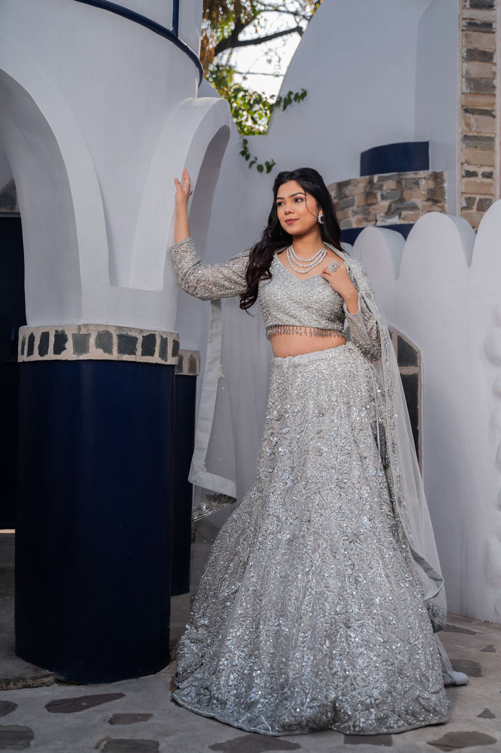 Exclusive Silver Splendor Lehenga with hand-embroidery in Net, Customizable, Made to Order