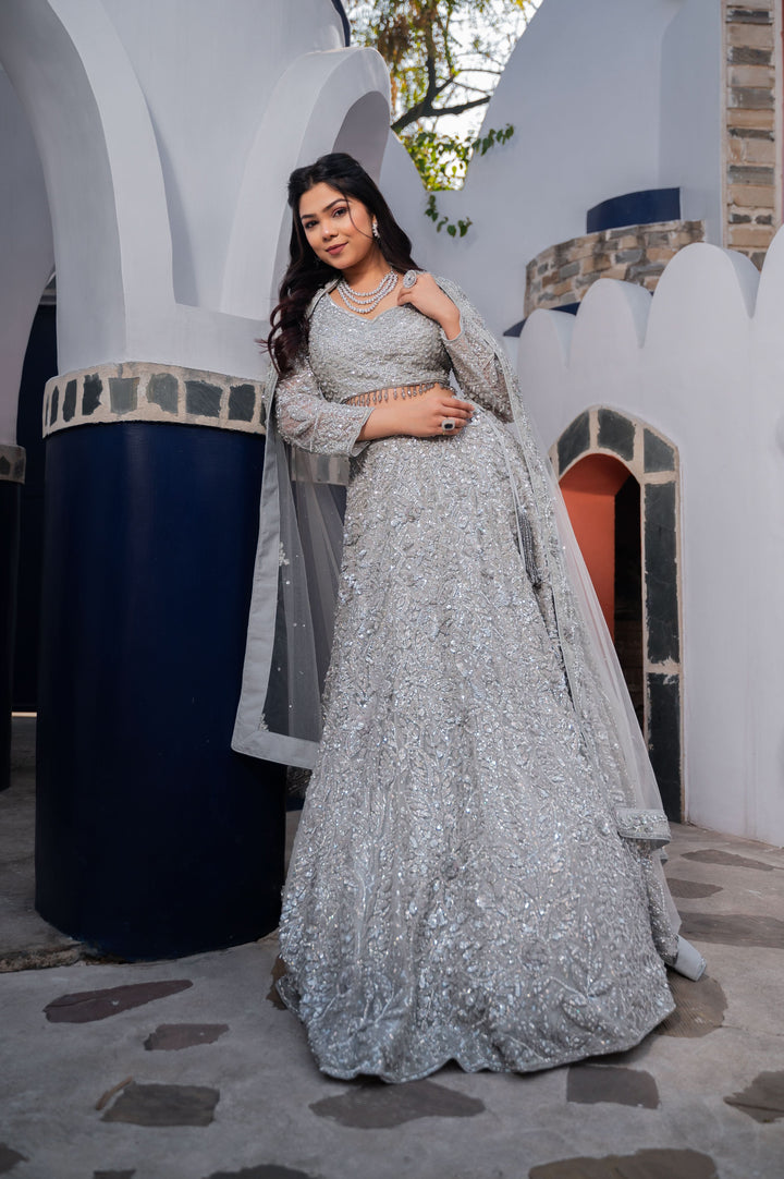Exclusive Silver Splendor Lehenga with hand-embroidery in Net, Customizable, Made to Order