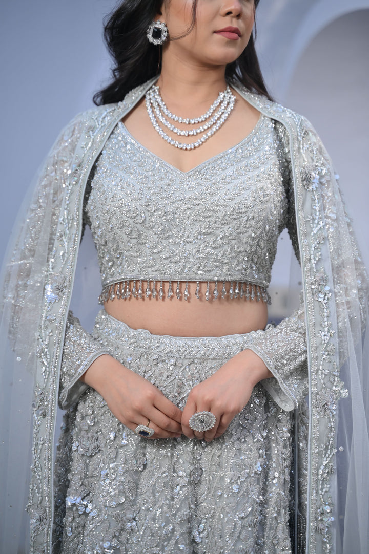Exclusive Silver Splendor Lehenga with hand-embroidery in Net, Customizable, Made to Order