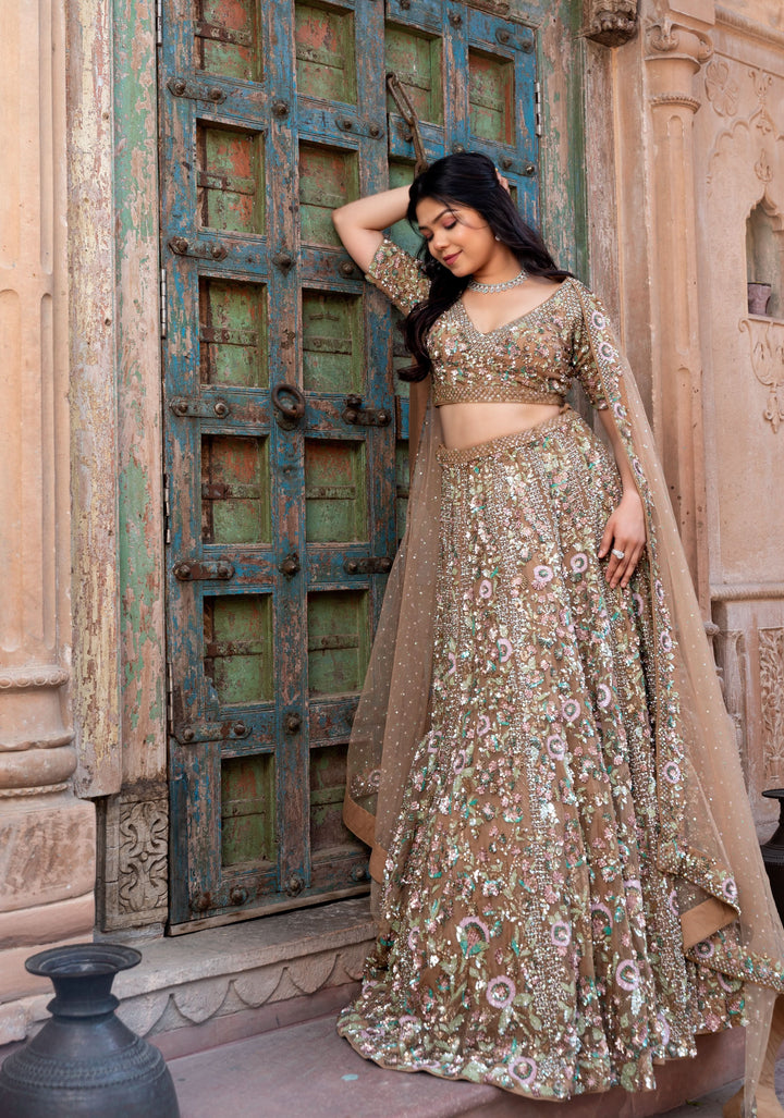 Lehenga: Chikoo Brown Glamour Lehenga with embellishments in Net, Customizable, Made to Order