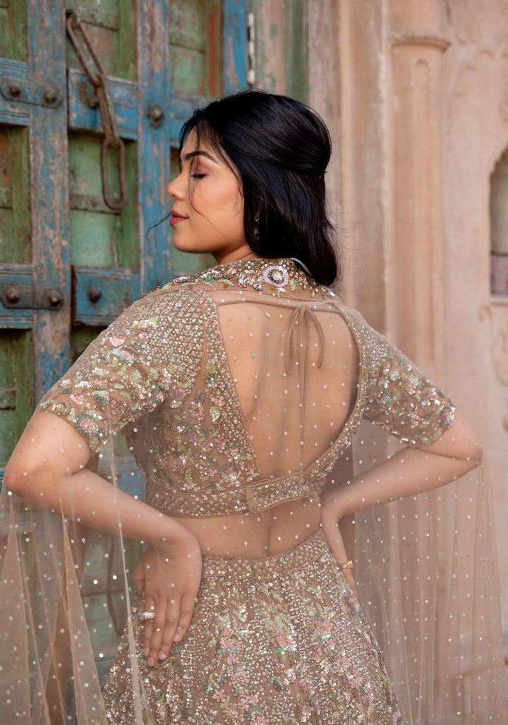 Lehenga: Chikoo Brown Glamour Lehenga with embellishments in Net, Customizable, Made to Order
