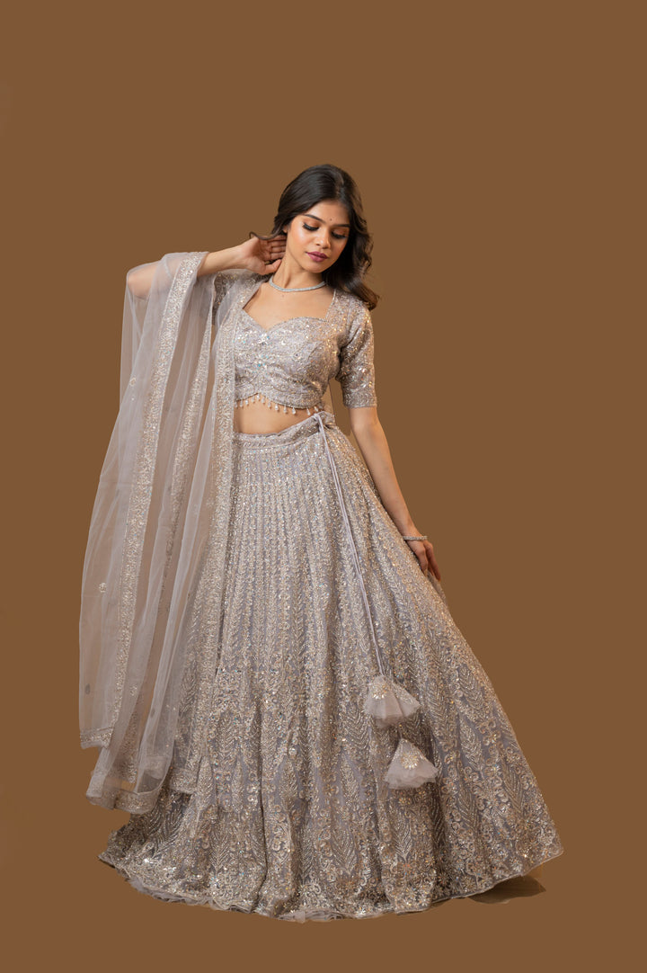 Platinum Picturesque Lehenga with embroidery, Customizable, Made to Order