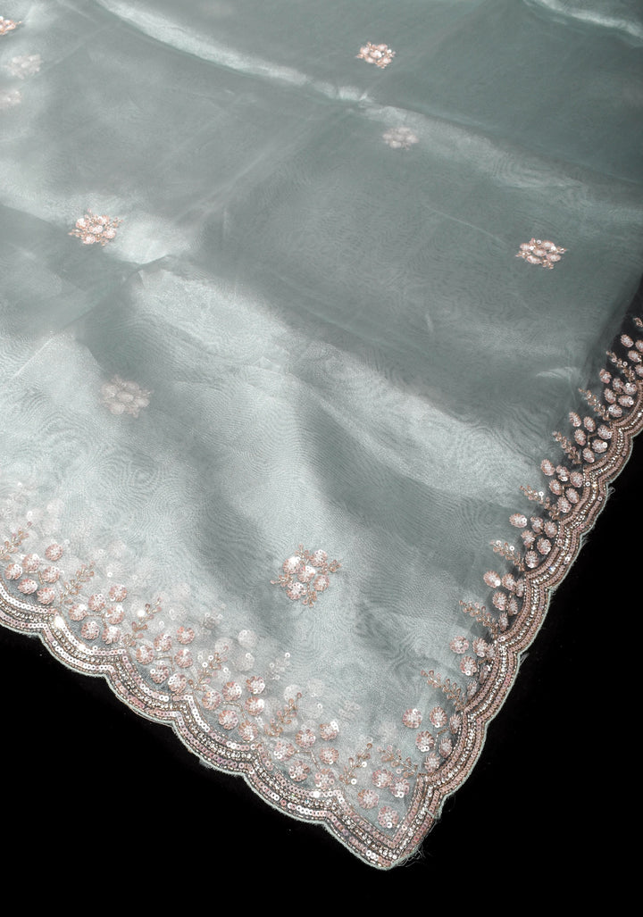 Pastel Grey Exquisite Organza saree with Sequin, Cutdana embroidery and Scallop Border