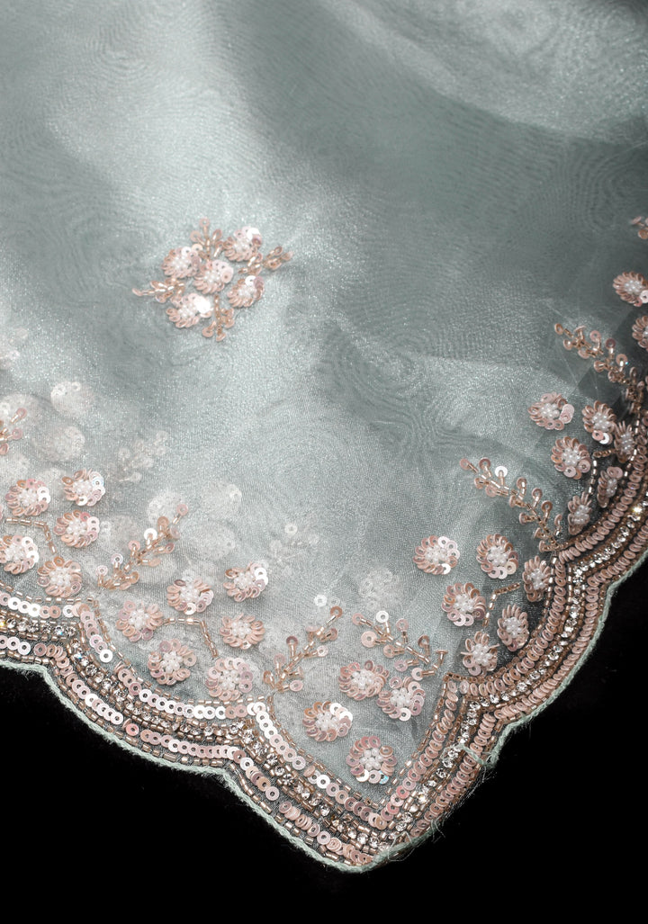 Pastel Grey Exquisite Organza saree with Sequin, Cutdana embroidery and Scallop Border