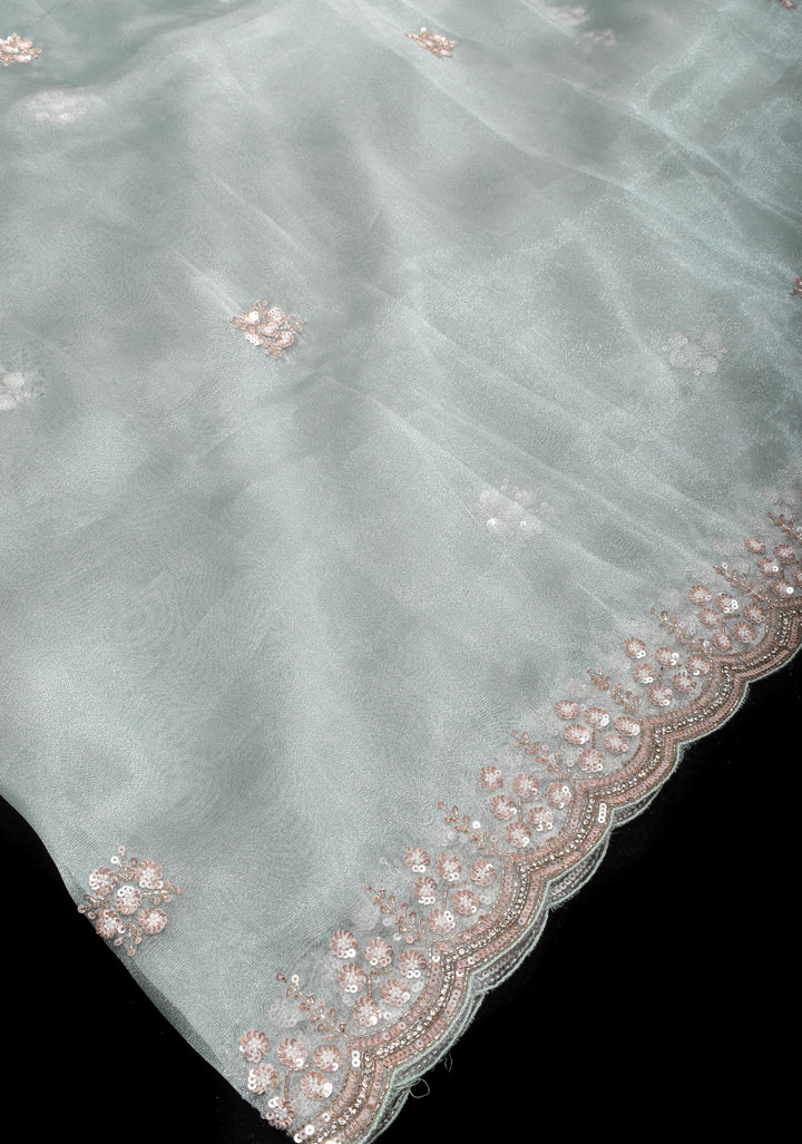 Pastel Grey Exquisite Organza saree with Sequin, Cutdana embroidery and Scallop Border