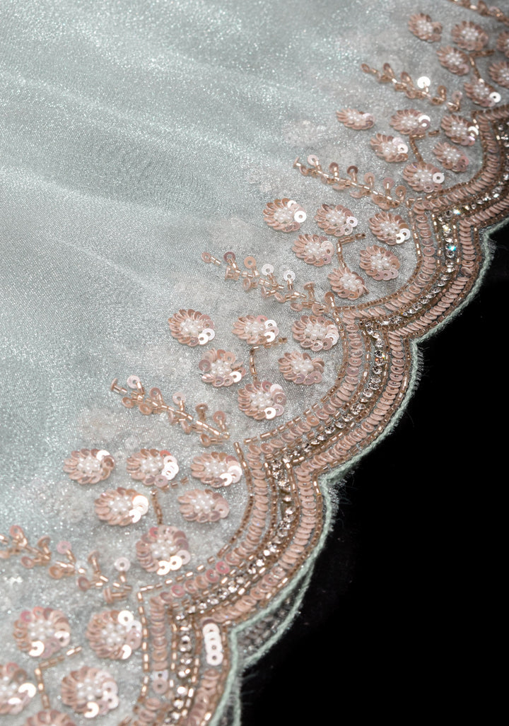 Pastel Grey Exquisite Organza saree with Sequin, Cutdana embroidery and Scallop Border
