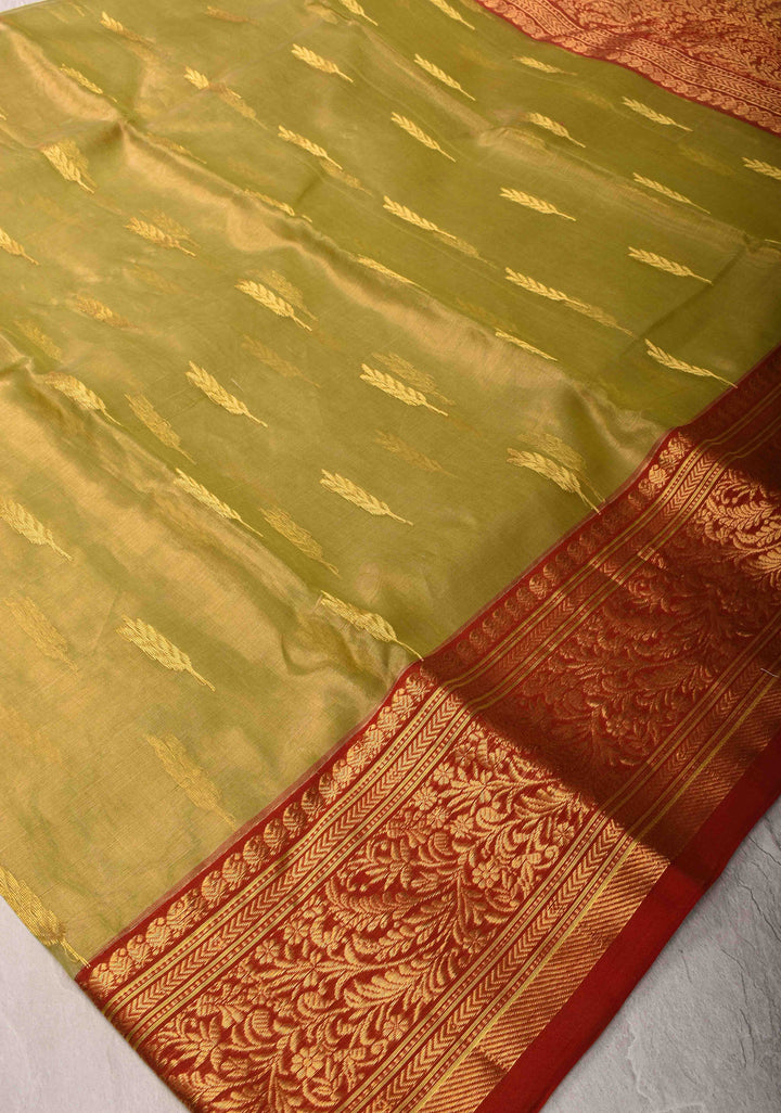 Olive Green Tissue Chanderi Silk Saree with Floral Buttas and Contrast Zari Borders
