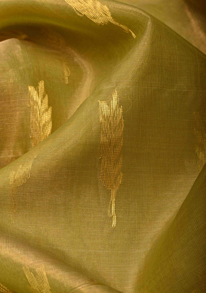 Olive Green Tissue Chanderi Silk Saree with Floral Buttas and Contrast Zari Borders