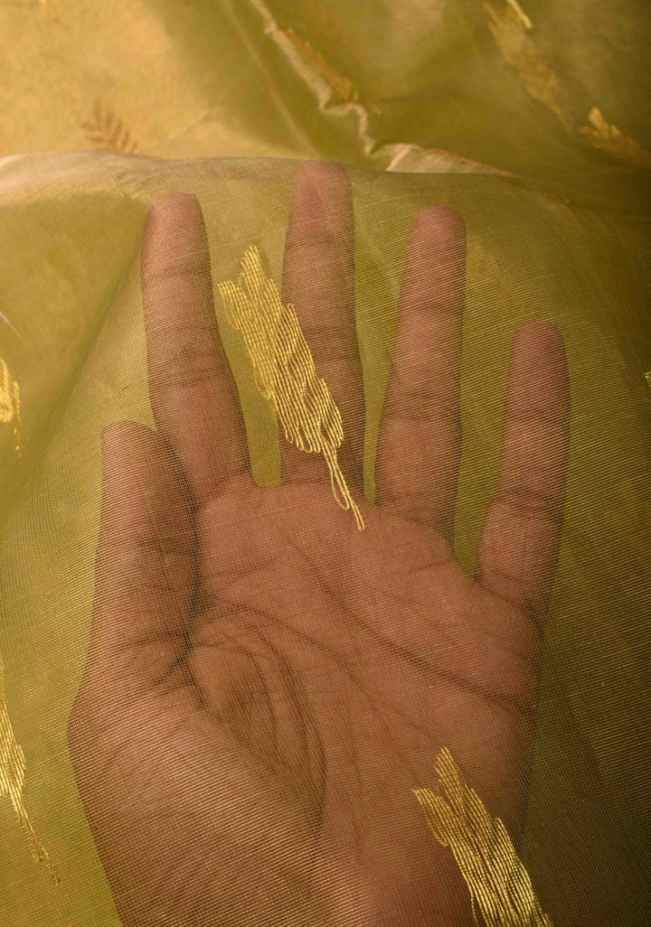 Olive Green Tissue Chanderi Silk Saree with Floral Buttas and Contrast Zari Borders