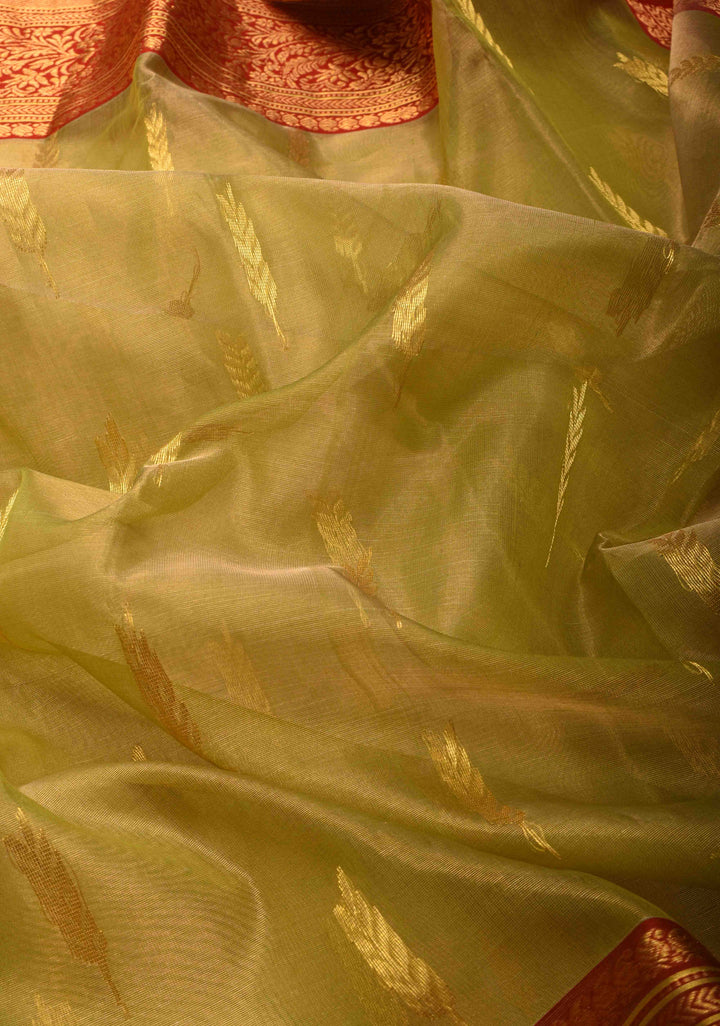 Olive Green Tissue Chanderi Silk Saree with Floral Buttas and Contrast Zari Borders