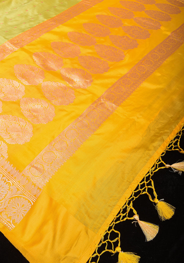 Dewy Green Banarasi Katan Silk Saree with Chunri Buttis and Mustard contrast | SILK MARK CERTIFIED