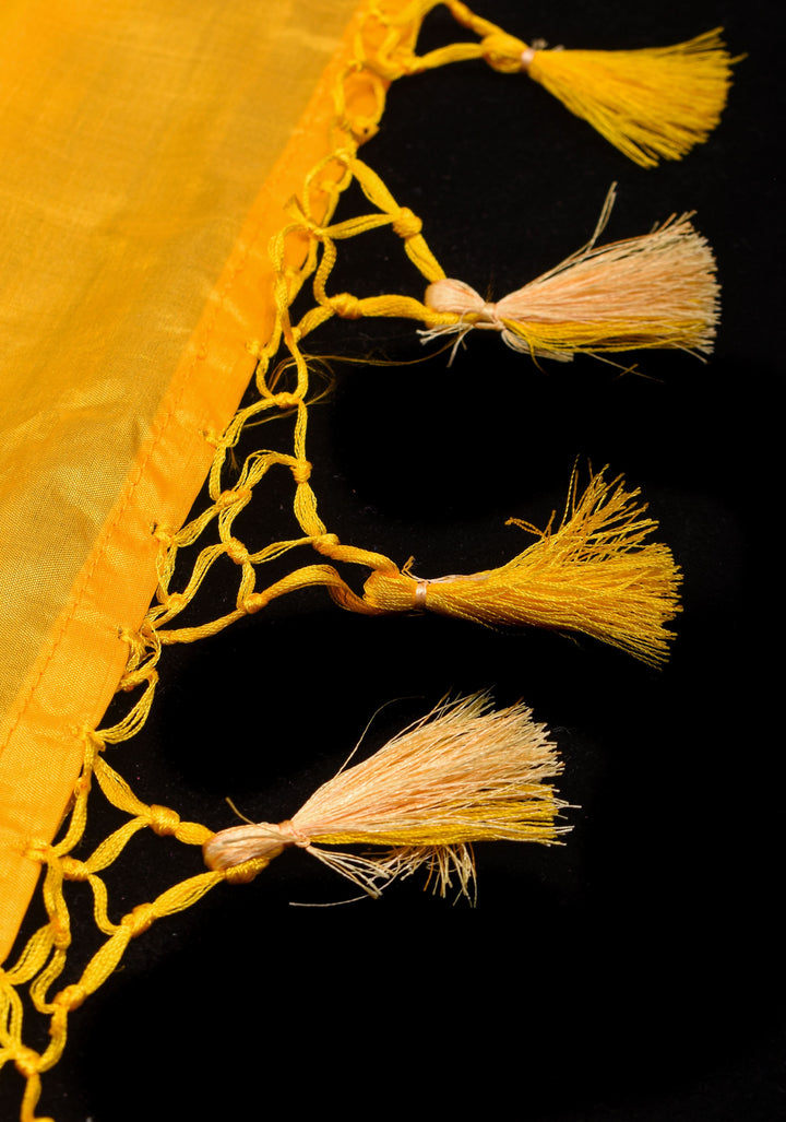 Dewy Green Banarasi Katan Silk Saree with Chunri Buttis and Mustard contrast | SILK MARK CERTIFIED