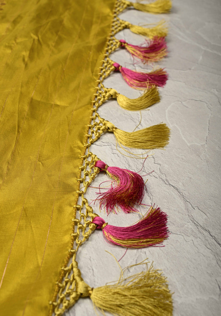 Kanchana tone on tone Sequin on Net Fusion Saree with Two Side Banarasi Pure Silk Border