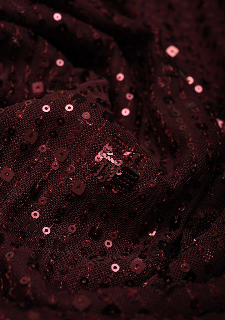 Kanchana tone on tone Sequin on Net Fusion Saree with Two Side Banarasi Pure Silk Border