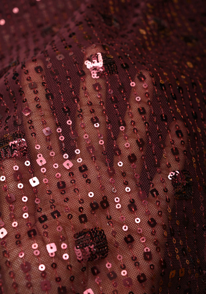 Kanchana tone on tone Sequin on Net Fusion Saree with Two Side Banarasi Pure Silk Border