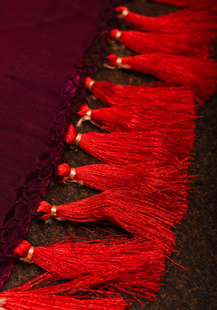 Authentic Red Brown Ombre Bandhej Silk Georgette Saree with Zari Jaal  | SILK MARK CERTIFIED