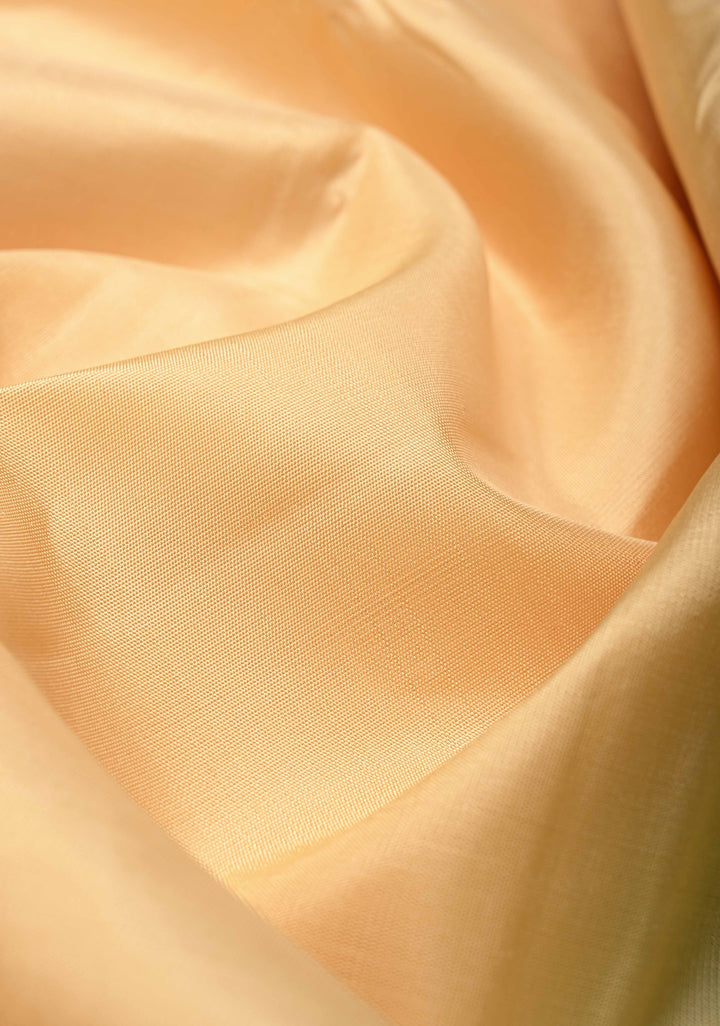 Beige Kanjivaram Pure Silk Saree with Contrast Temple Checks Zari Border | SILK MARK CERTIFIED