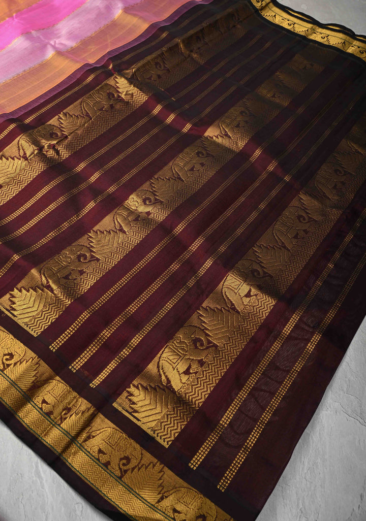 Multicolor Kanchi Silk Cotton Saree with Rangkaat Design and Contrast Zari Borders