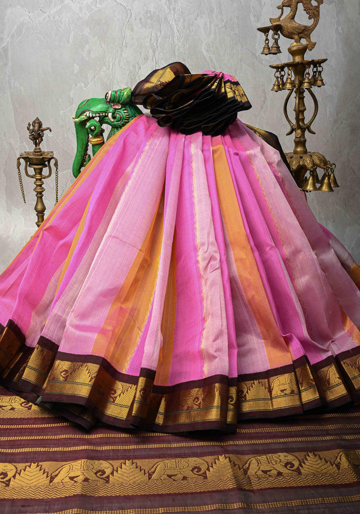 Multicolor Kanchi Silk Cotton Saree with Rangkaat Design and Contrast Zari Borders