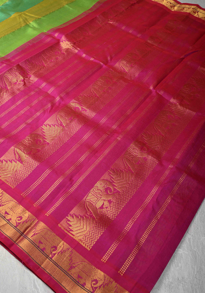 Multicolor Kanchi Silk Cotton Saree with Rangkaat Design and Contrast Zari Borders