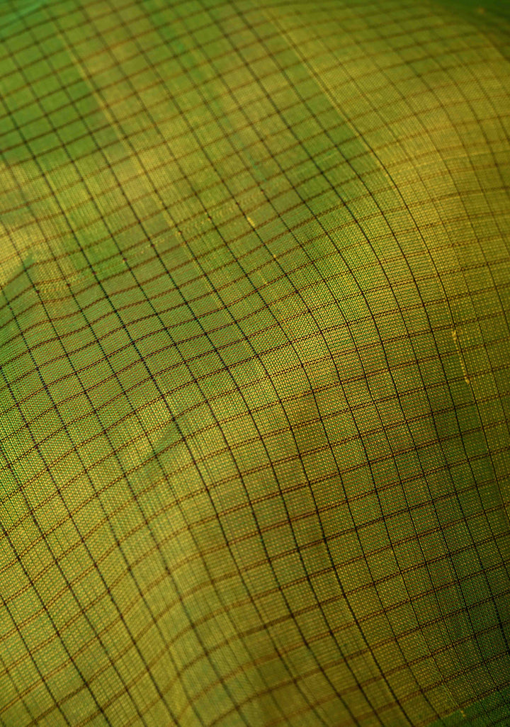 Moss Green Dual Tone Checks Kanchi Silk Cotton Handloom Saree with Contrast Zari Border