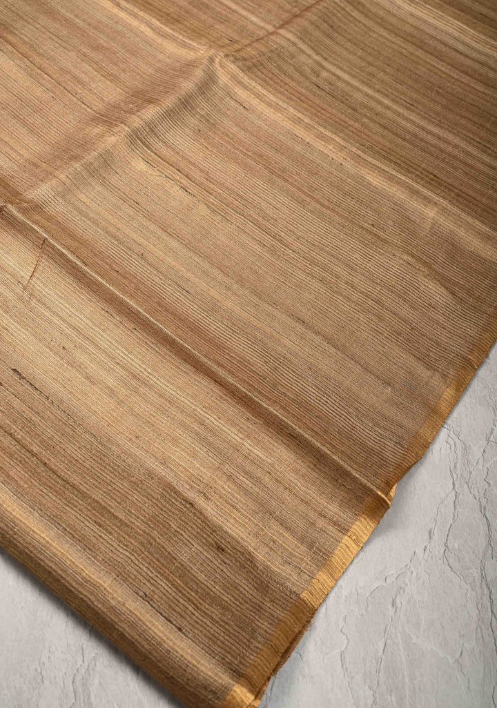 Beige Geecha Tussar tissue Saree with Minimal Zari Border | SILK MARK CERTIFIED