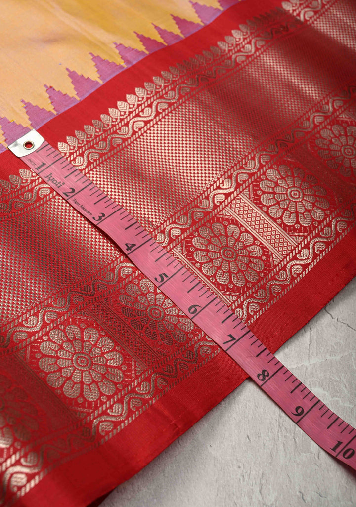 Dusty Sandalwood Dual tone Pure Gadwal Silk Saree with Resham Buttas and Contrast Zari Border | SILK MARK CERTIFIED