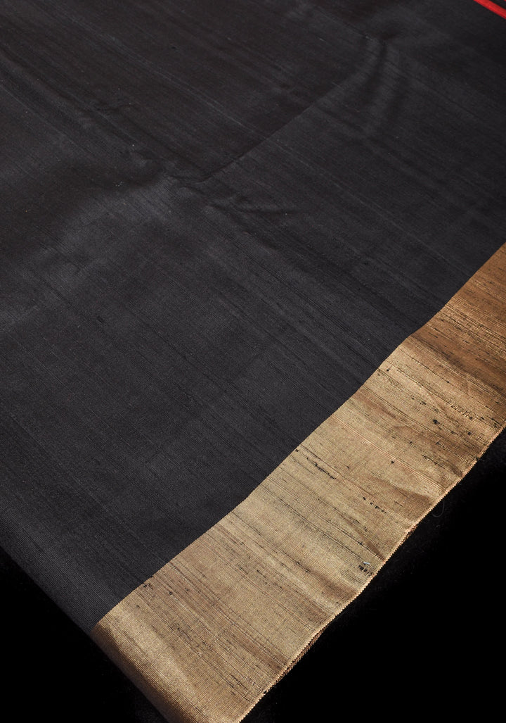 Pure Raw Silk Saree in Black with Tissue Zari Border and red Pallu | SILK MARK CERTIFIED