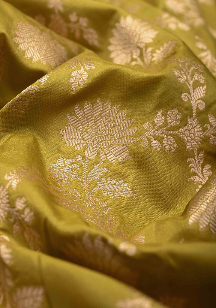 Olive Green jaal Banarasi Katan Silk Saree with Zari Border  | SILK MARK CERTIFIED