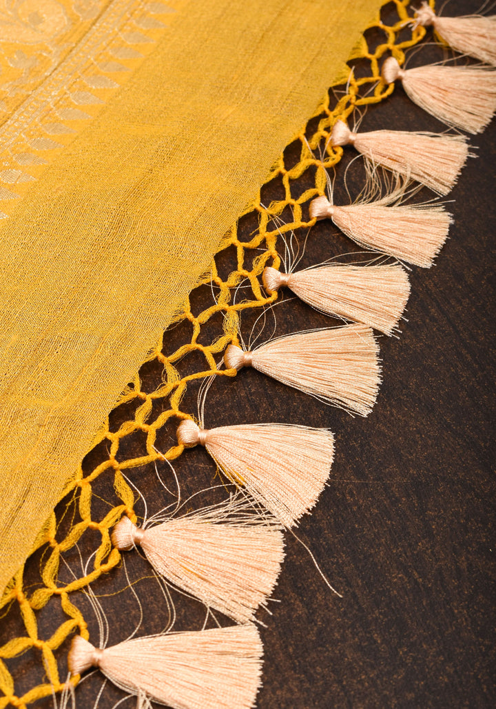 Exquisite Tussar Georgette Jaal Silk Saree in Blue and Yellow with Silver Jaal | SILK MARK CERTIFIED