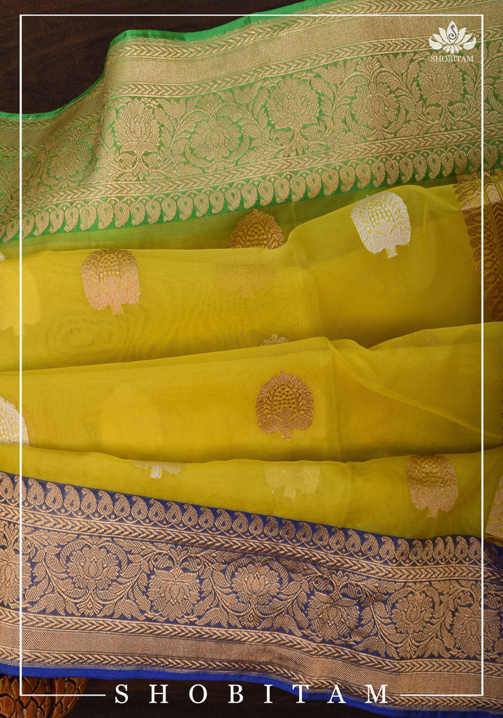 Banarasi Silk Organza Saree in Yellow with Ganga Jamuna Borders | SILK MARK CERTIFIED