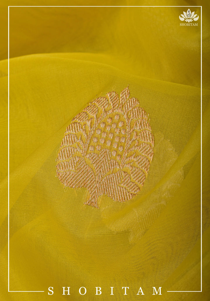 Banarasi Silk Organza Saree in Yellow with Ganga Jamuna Borders | SILK MARK CERTIFIED