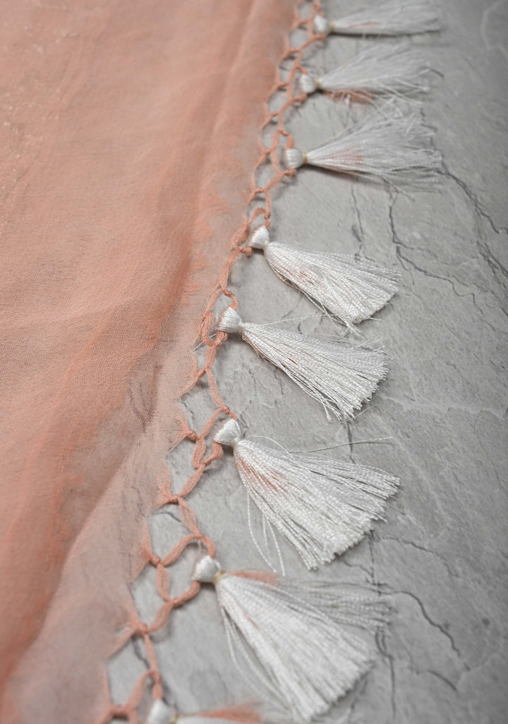 Blush Peach Pure Chiffon Silk Saree with Silver Zari Buttas and Border | SILK MARK CERTIFIED