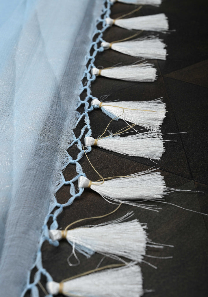 Powder Blue Pure Chiffon Silk Saree with Silver tone Zari Buttas and Border | SILK MARK CERTIFIED