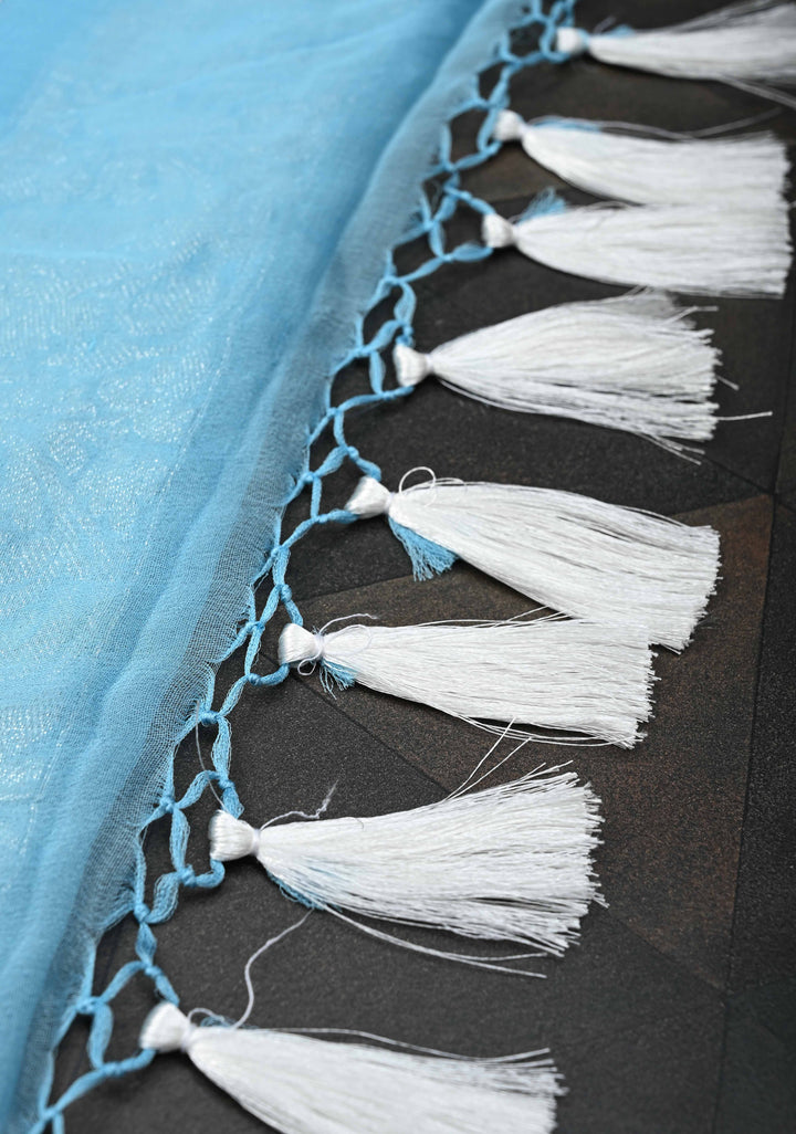 Pastel Blue Pure Chiffon Silk Saree with Silver tone Zari Buttas and Border | SILK MARK CERTIFIED