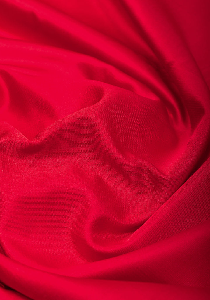 Red Tanchoi Jamawar Pallu on Pure Banarasi Silk | SILK MARK CERTIFIED