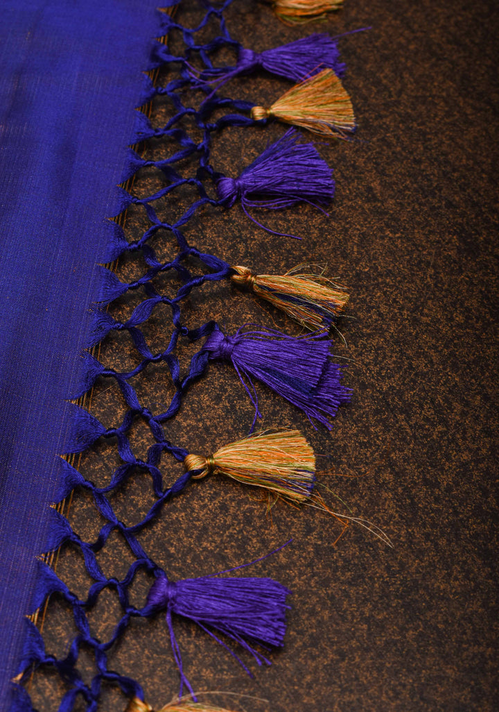 Blue Tanchoi Banarasi Satin Silk Saree with Floral Brocade  | SILK MARK CERTIFIED