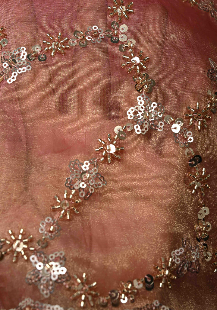 Pink Sequin Jaal on Shimmer Organza Saree with Sequins, Cutdana Detailing and Scallop Border