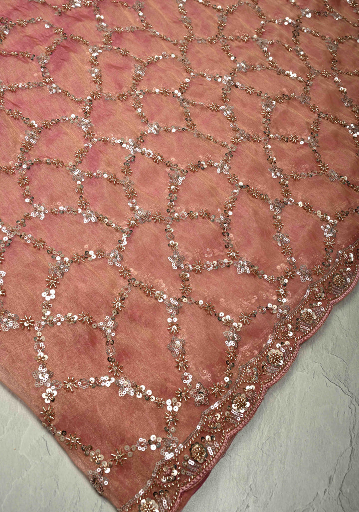 Pink Sequin Jaal on Shimmer Organza Saree with Sequins, Cutdana Detailing and Scallop Border