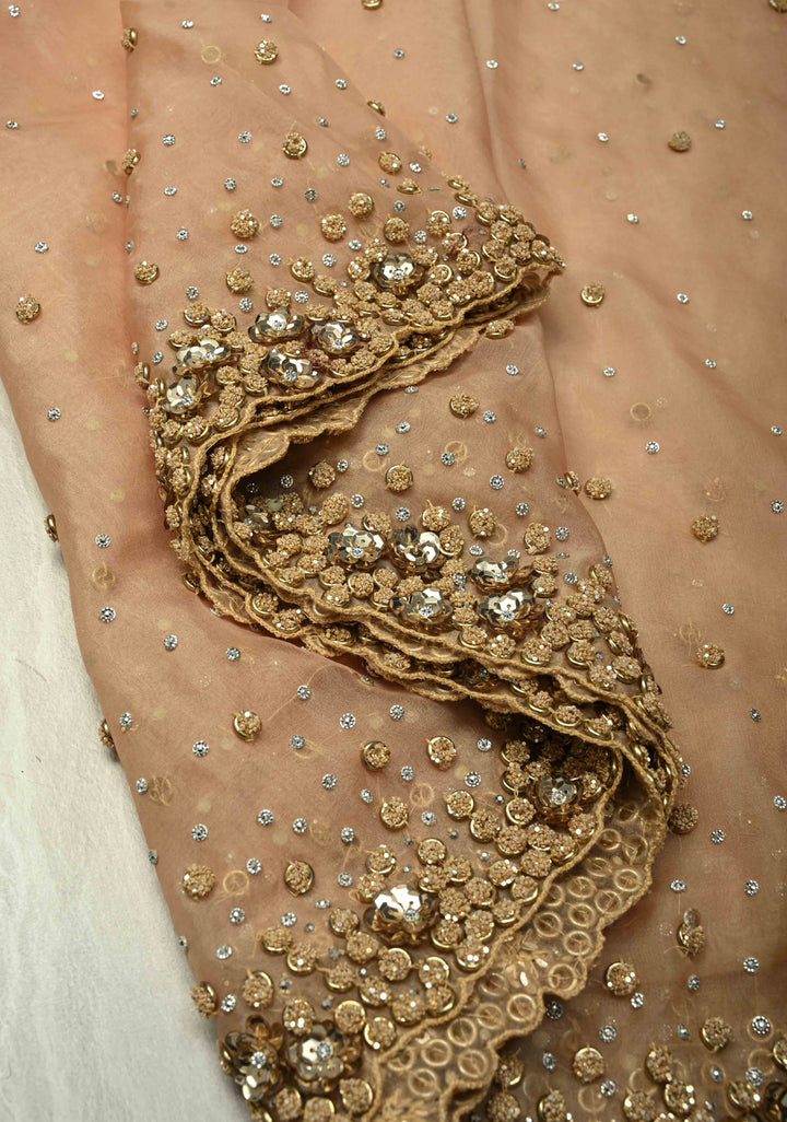 Chiku Color Embellished Organza Saree with Stone, Sequins and Contemporary Scallop Border