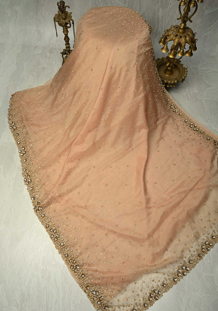 Chiku Color Embellished Organza Saree with Stone, Sequins and Contemporary Scallop Border