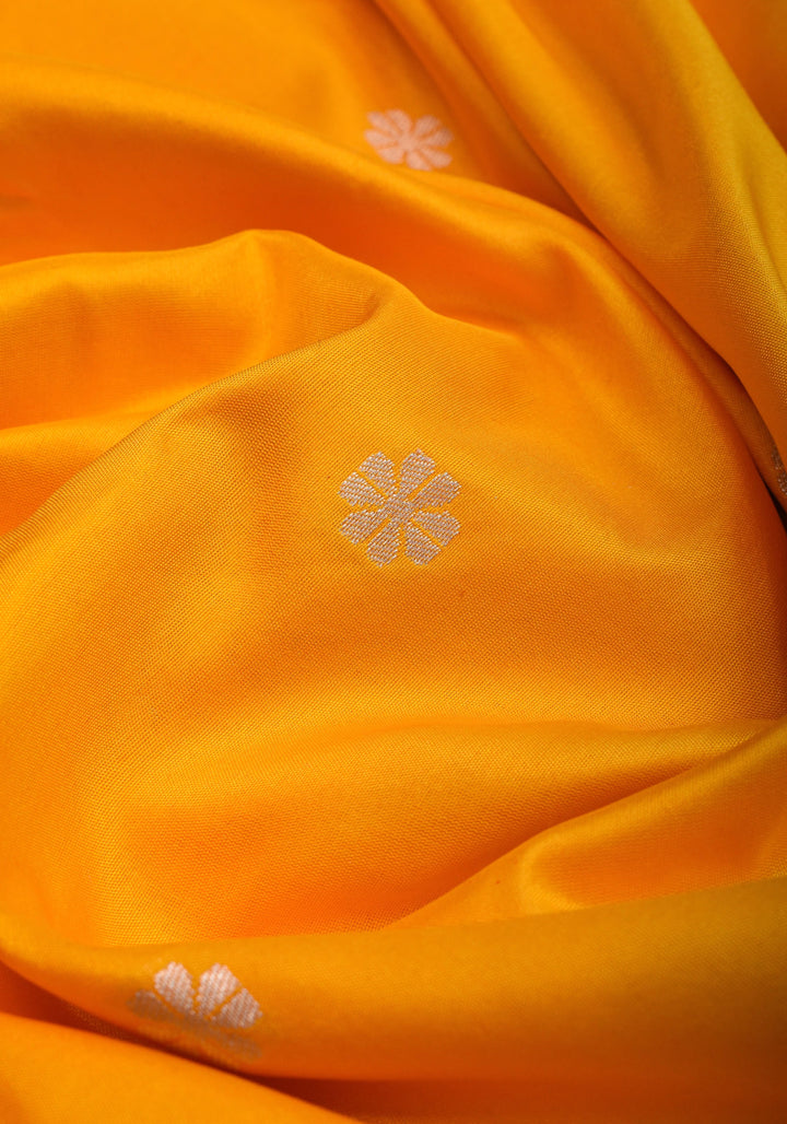 Exquisite Banarasi Katan Silk Saree in Yellow with Paithani Style Border | SILK MARK CERTIFIED