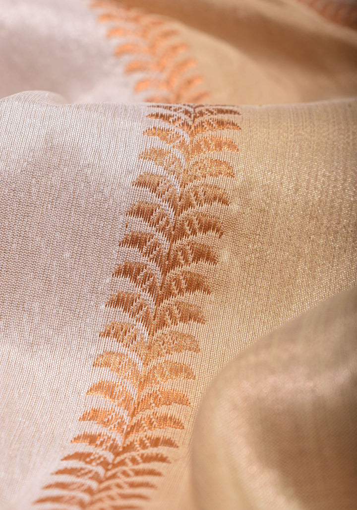 Unique Design White Dual tone Jharoka Pattern Pure Katan Silk saree with Contrast Zari borders | SILK MARK CERTIFIED
