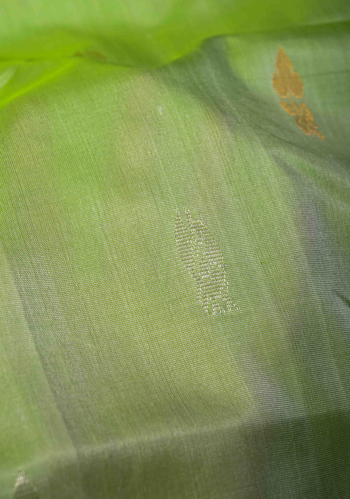 Tea Green Uppada Handloom Silk Saree With Sona Rupa Buttas And Zari Border