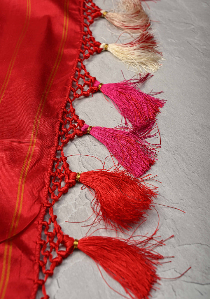 Surajmukhi Chilly Red Pochampally Ikkat Pure Silk Zariless Saree with Sunflower Patola Design and Border  | SILK MARK CERTIFIED